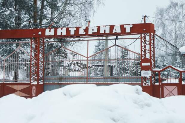 Возле интерната для душевнобольных в Кузбассе нашли захоронение. «Кресты среди леса»