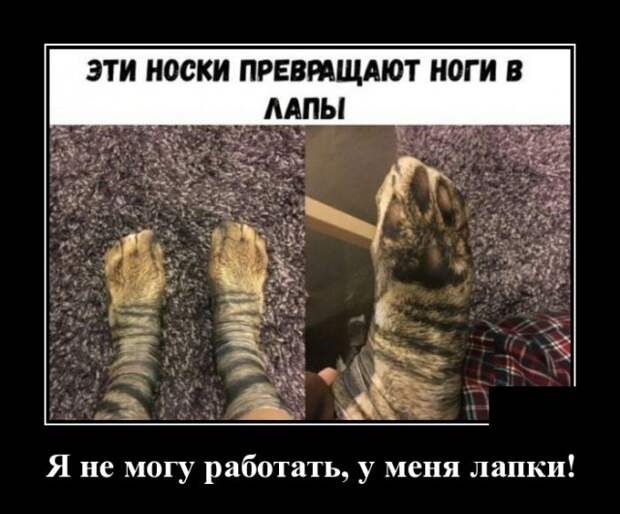 www.vsyako.net