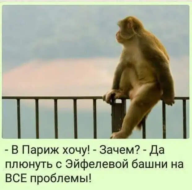 Врач в психбольнице разгадывает кроссворд:- Так...