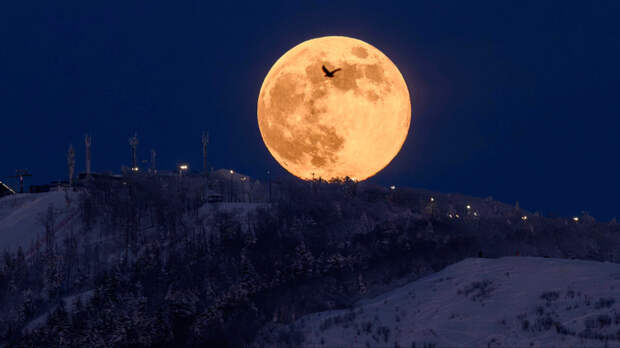 Снежная Луна проверит на прочность: что не следует делать 2 февраля