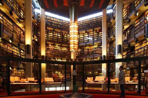 5 самых красивых библиотек иностранных вузов библиотека, за рубежом, знания, красивый вид, обзор, подборка, студенты, университет