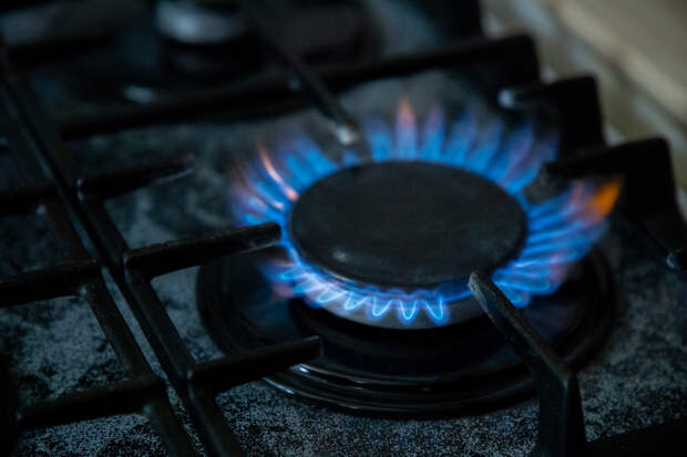 Тулякам рассказали, что будет, если не пустить в квартиру газовщиков