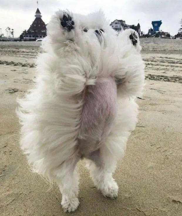 25 интересных и познавательных снимков со всего мира, которые наверняка вы увидите впервые 