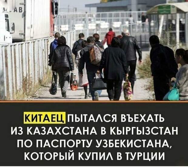 Новостные заголовки, граничащие с маразмом журналисты, заголовки, маразмы, непонтяное, новости, прикол, странное, фейк, юмор