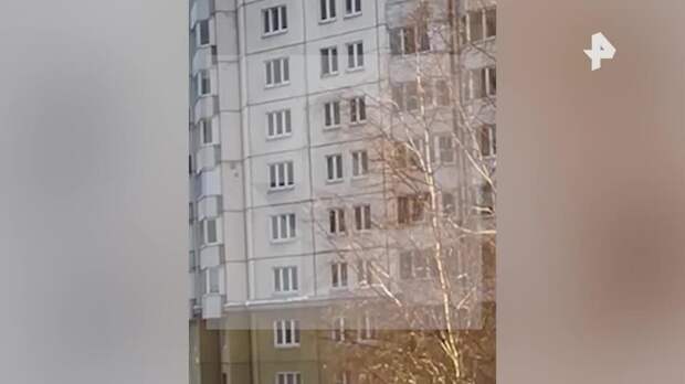 Кадры спасения ребенка, выпавшего из окна десятого этажа в Петербурге