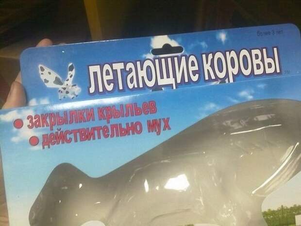 Сложности перевода по-китайски Сложности перевода по-китайски