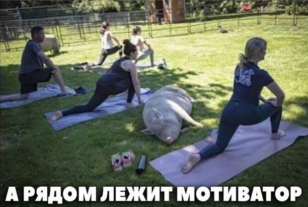 Мотиватор