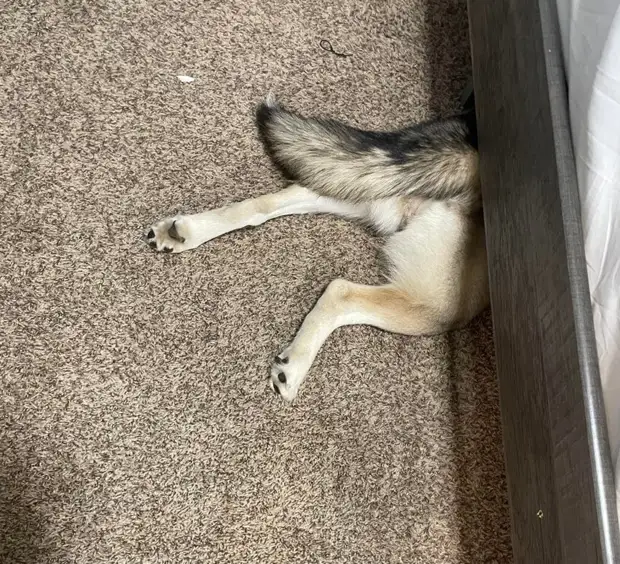 ?