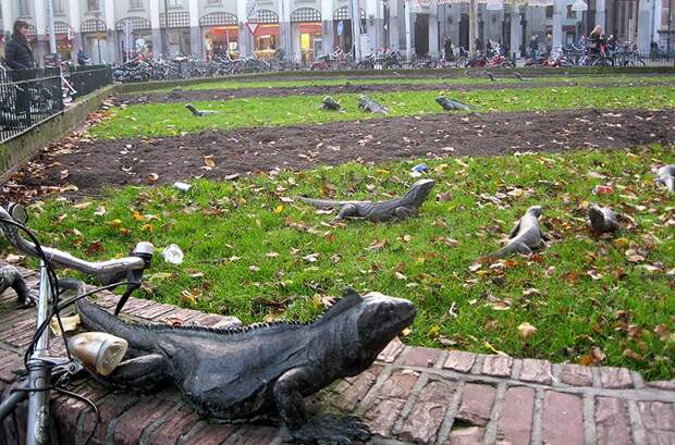 В парке Амстердама, расположены скульптуры кованных игуан, ползающих по заборам и среди цветочных клумб.
