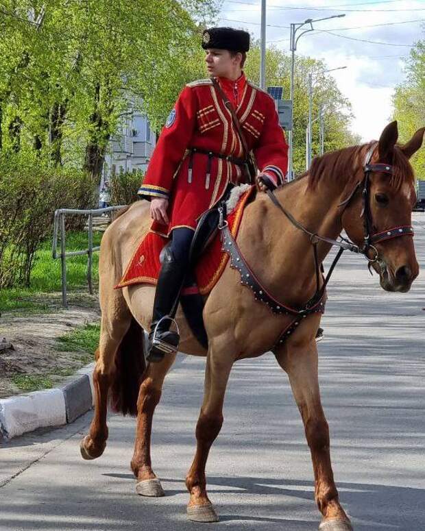 Фото: Наталья Токарева