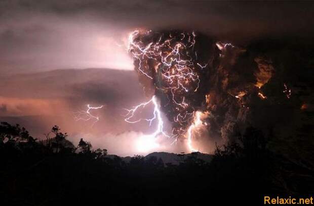 national-geographic-moments-22