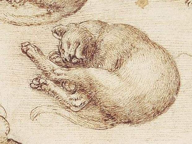 Леонардо да Винчи было жалко животных