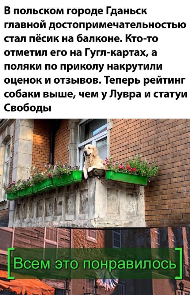 Смешные картинки вечер 8 сентября 2021 года