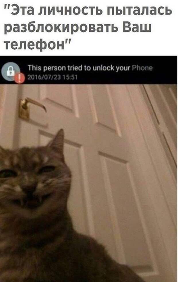 00telefon (441x700, 55Kb)