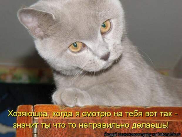 Мысли вслух :)