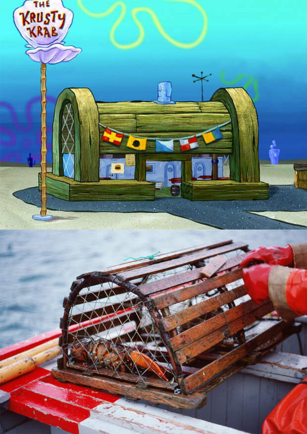 Krusty Krab - это не сундук с сокровищами, а ловушка для крабов. история, удивительное рядом, факты, физика