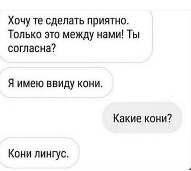 Какие кони? Какие кони?
