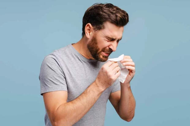 Врач Горнак: сезон аллергий в средней полосе РФ может начаться в конце зимы