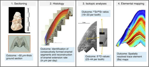 как идти в гости что взять в подарок