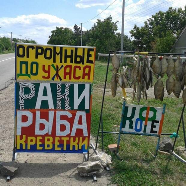 Забавные надписи и объявления Забавные надписи и объявления