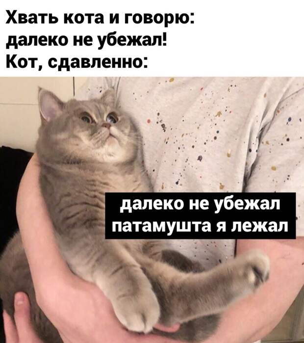 Всегда так делаю Всегда так делаю