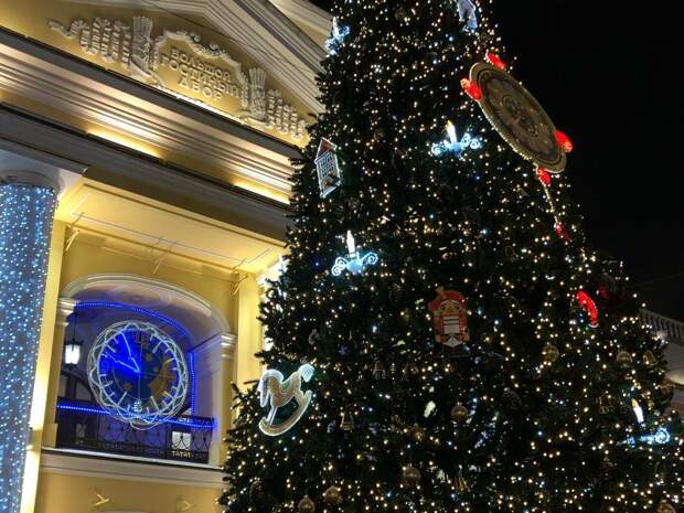 Петербургский романтик переломал конечности ради новогодней звезды для любимой