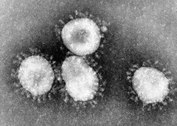 В Алматы признались в работе над коронавирусом до эпидемии