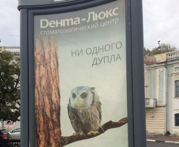 Все дупла заделаны! Все дупла заделаны!