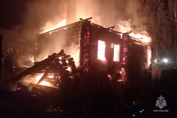 В Александровском районе пожилая женщина погибла на пожаре в деревенском доме