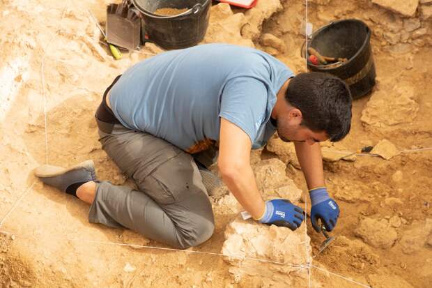 Окаменелости одного из первых травоядных существ Земли нашли в Канаде