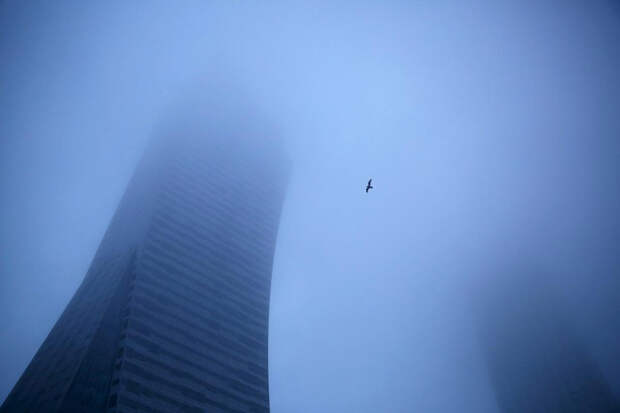 Туман и птица в небе в центре Варшавы, Польша