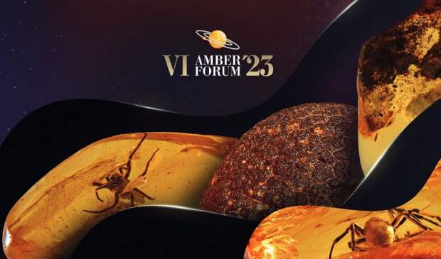 https://ambercombine.ru/upload/customers_and_partners/amber_trades/2023/auktsion-22-06-2023/%D0%9A%D0%B0%D1%82%D0%B0%D0%BB%D0%BE%D0%B3%2024.06.2023.pdf