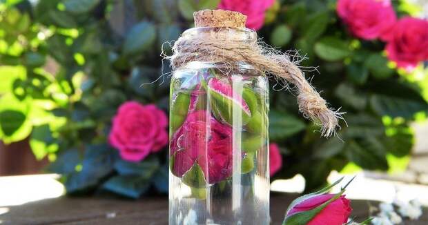 6 эфирных масел, которые подойдут для ароматизации дома и не только