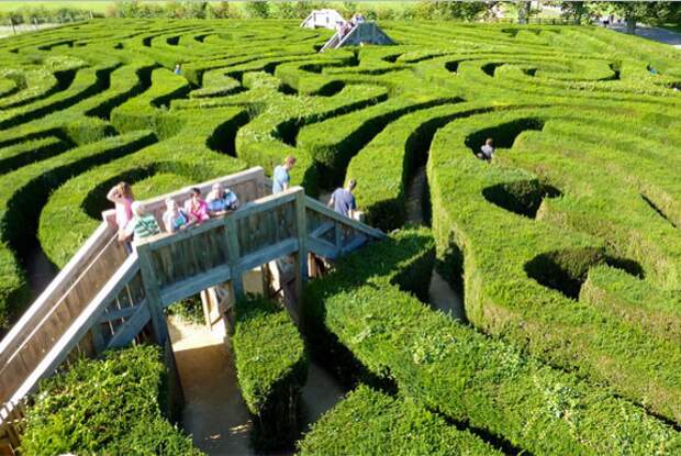 samyi-dlinnyi-labirint-4 самый длинный лабиринт Longleat Hedge Maze
