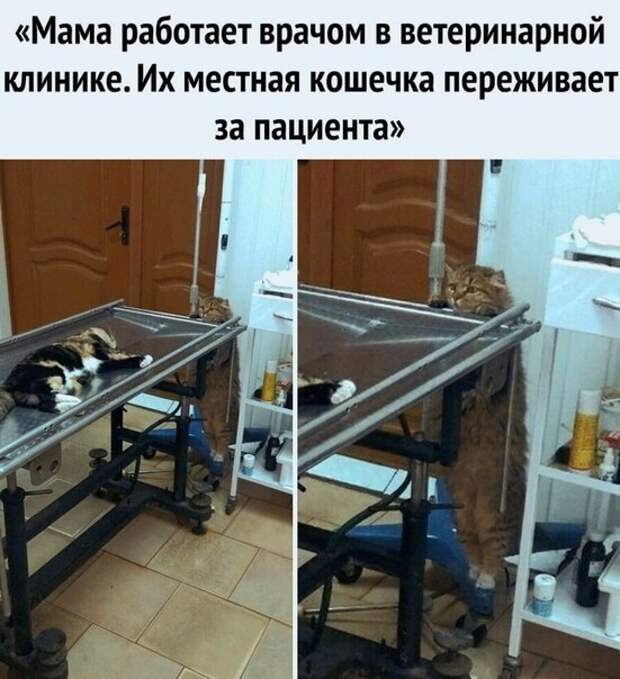 Переживает