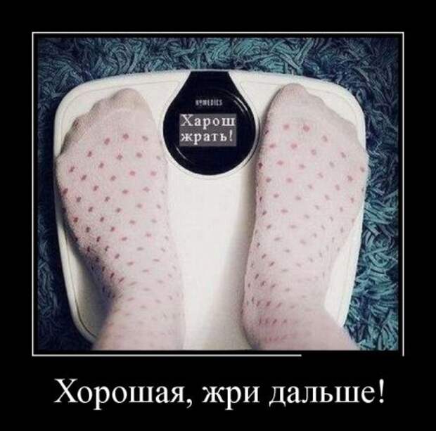 Демотиваторы (30 фото)