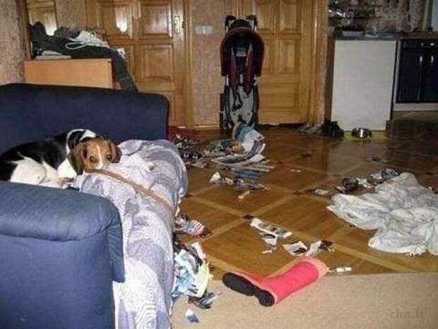 Приятно, когда тебя ждут