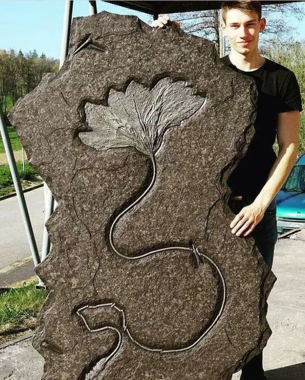 25 интересных и познавательных снимков со всего мира, которые наверняка вы увидите впервые 