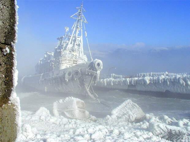 Самые красивые фотографии морозной зимы frozen11 Самые красивые фотографии морозной зимы