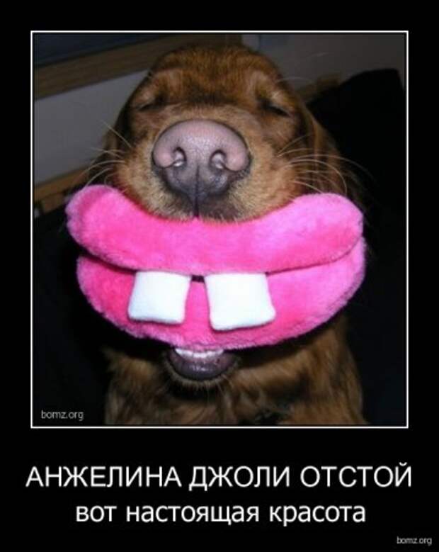 Прикольные демотиваторы для поднятия настроения!