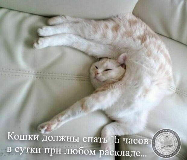Расклад