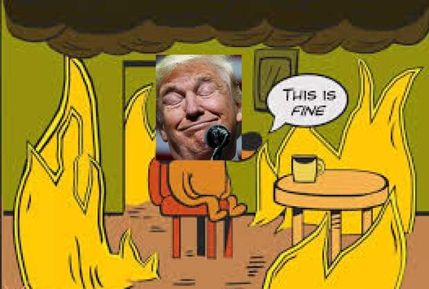 У Донни всё получается(с) 