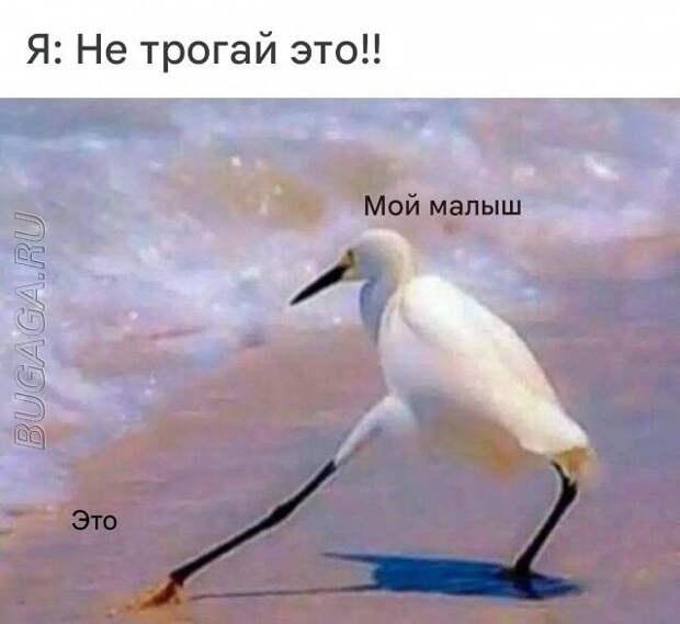 Прикольные мемы для женщин (9 шт)