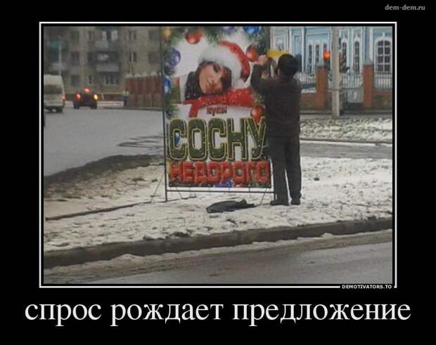 30 демотиваторов дня от 25-12-2013