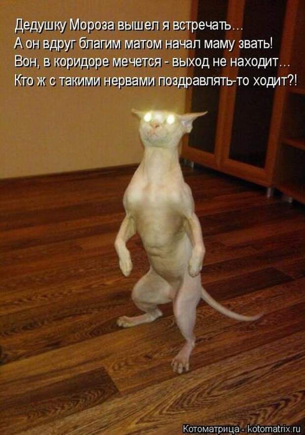 1483359632_014 (490x700, 52Kb)