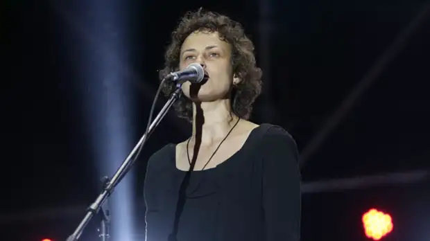 Чичерина прокомментировала письмо немецкого писателя о Великой Отечественной