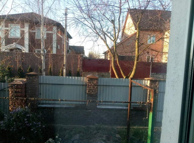 Прививка черешни на вишню Прививка, Вишня, Черешня, Длиннопост