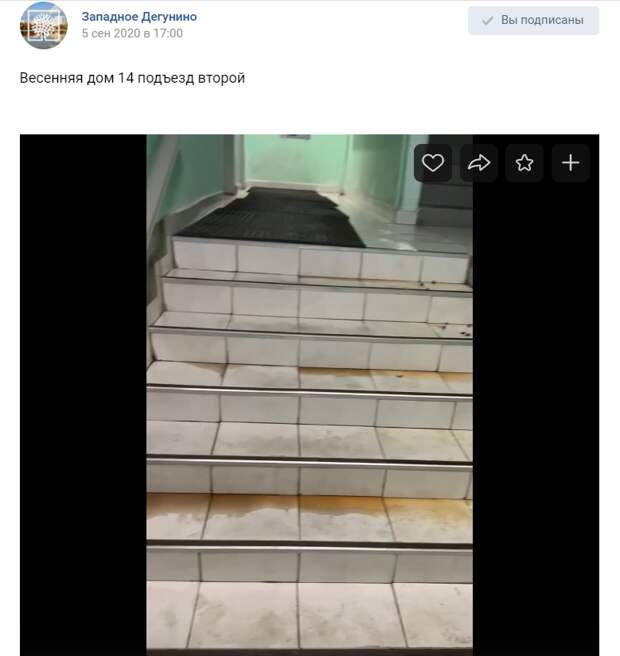 Подъезд на Весенней улице привели в порядок после видео в социальных сетях