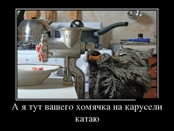 Всяко - разно 12 )))
