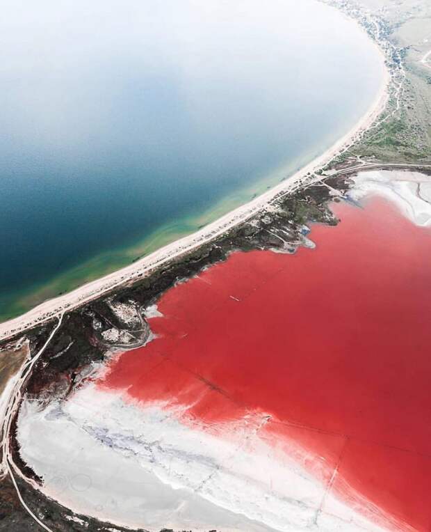 8 завораживающих фото розового Чокракского озера, которое находится в Крыму